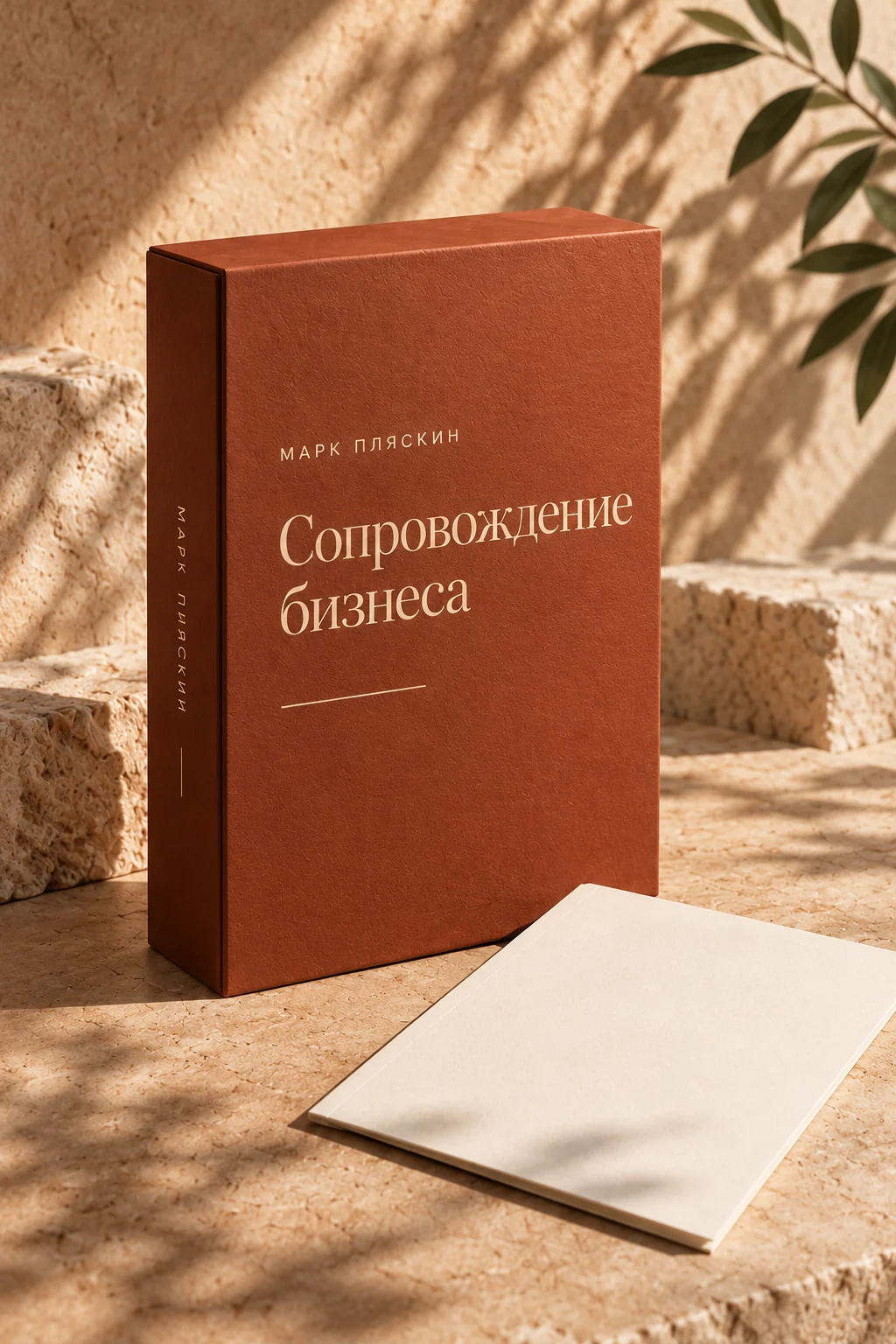 Символическая упаковка услуги: Сопровождение бизнеса